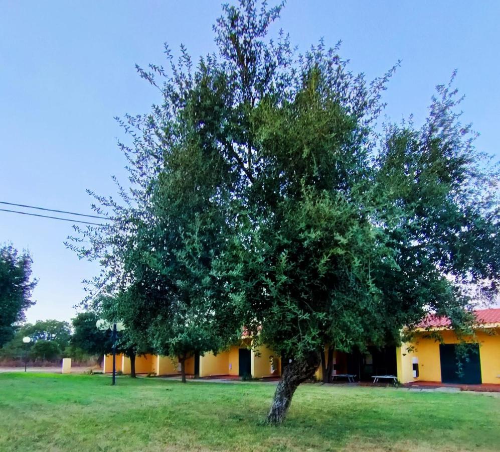 Nuraghe Ruiu Camping & Bungalow Norbello Exteriör bild